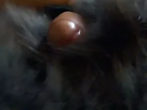 Une latina sexe porn ...